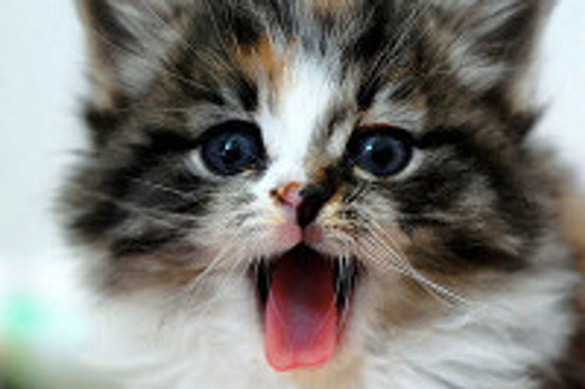 Miss Geraldine: Then & Now