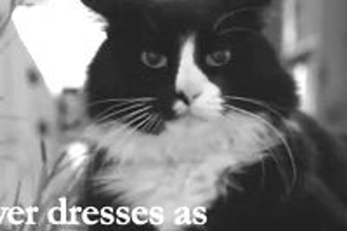 Henri the Cat, L'Haunting