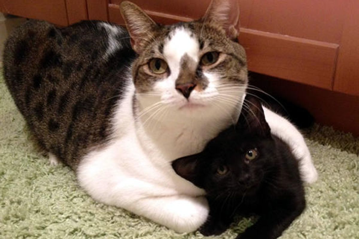 And They Were Worried They Wouldn't Get Along...