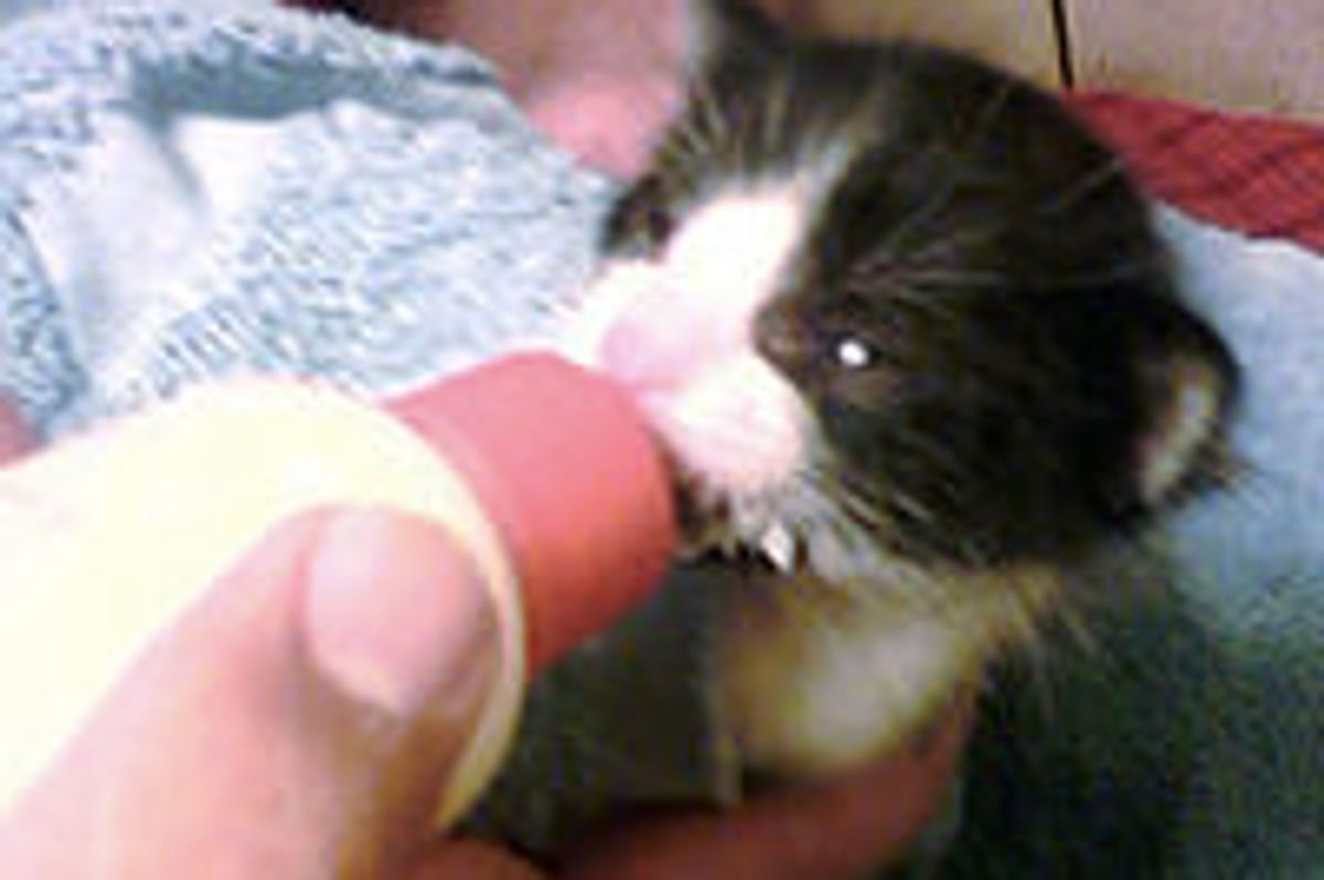 The Difference a Year Makes