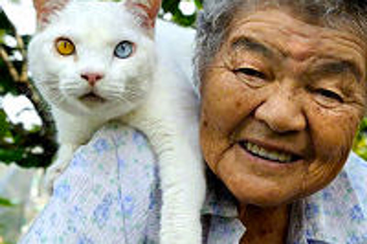 Chronicle of 87-Year-Old Grandmother and Her Beloved Cat