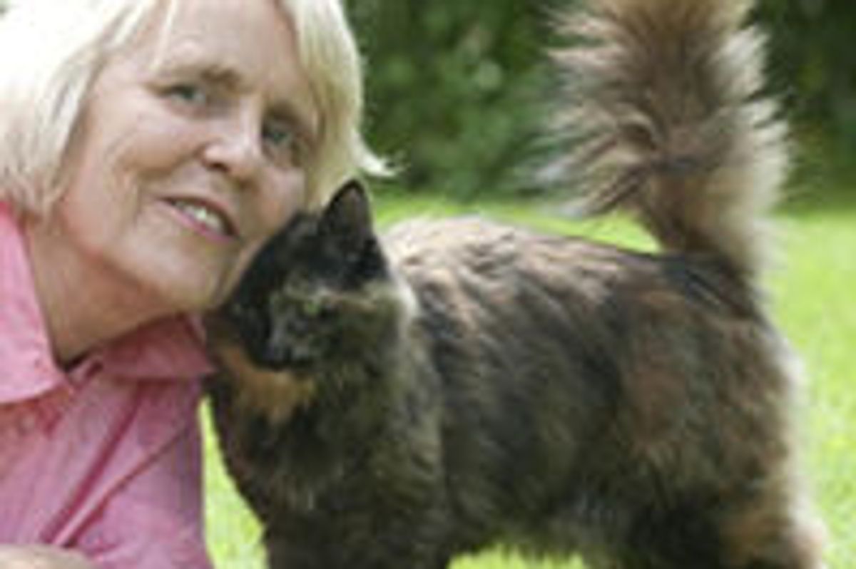 Very Timid Rescue Cat Saved Woman in Her Darkest Time