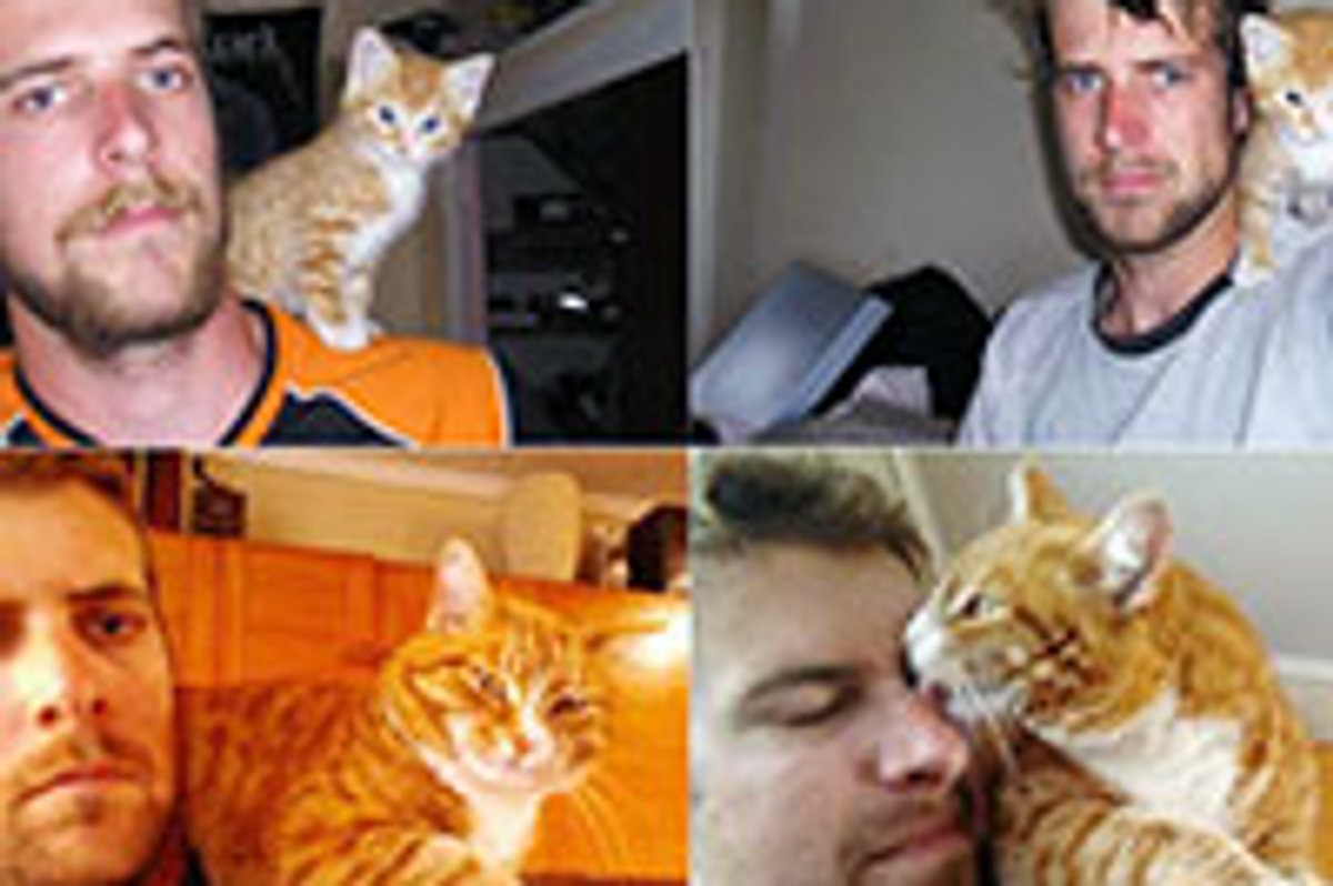 Shoulder Kitty for 5 Years