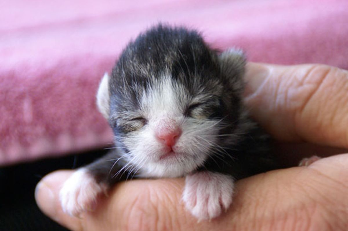 Little Foster Ciara, Journey of Growing Up