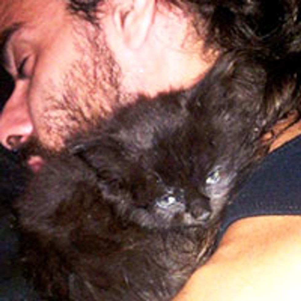 Man Finds Kitten During 12 Mile Walk Home After Flat Tire