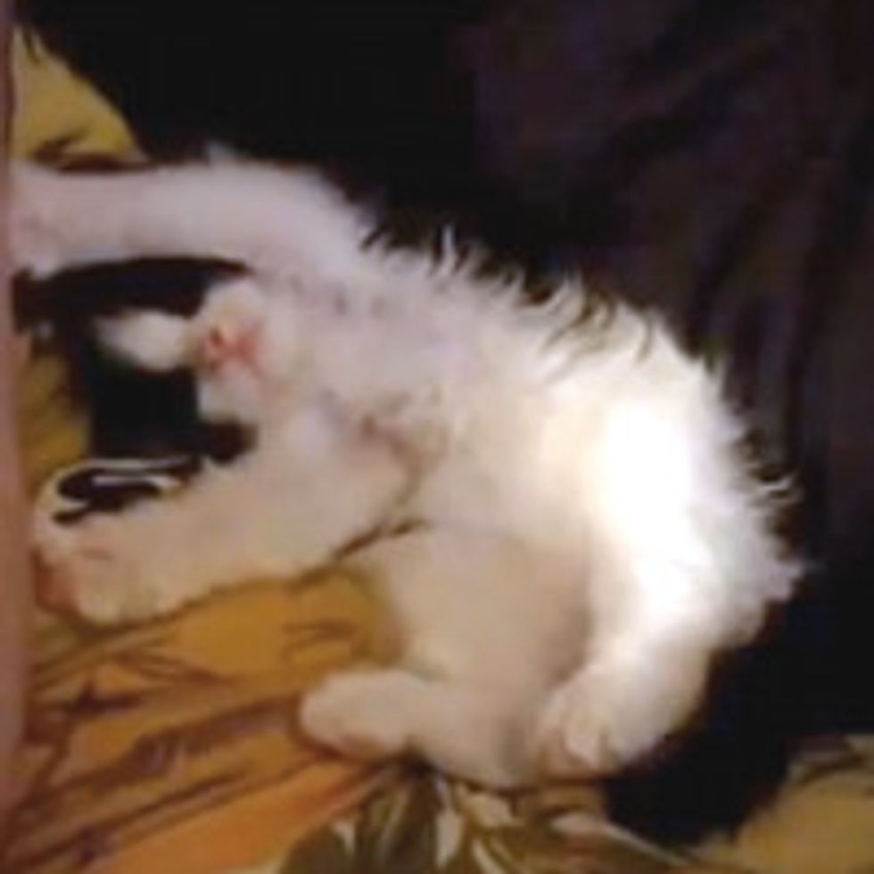 Look At Me! Play With Me!