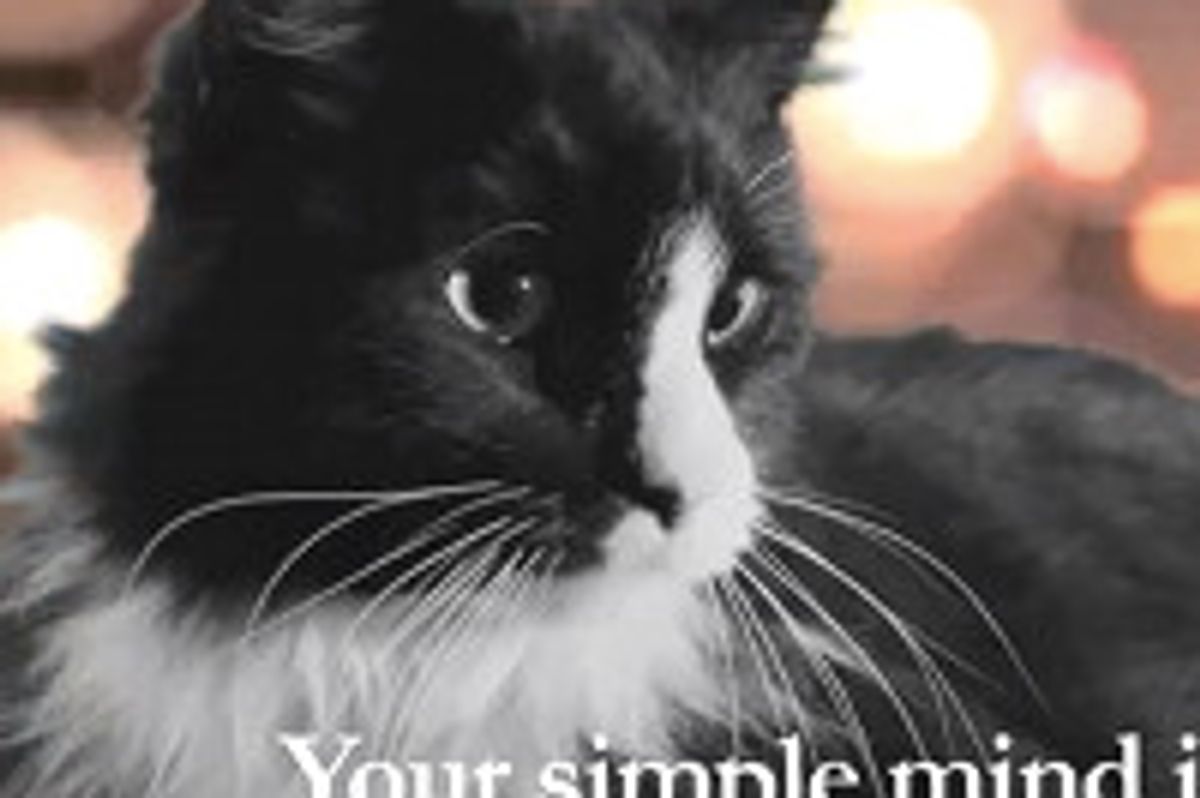 Henri in "The Worst Noel"