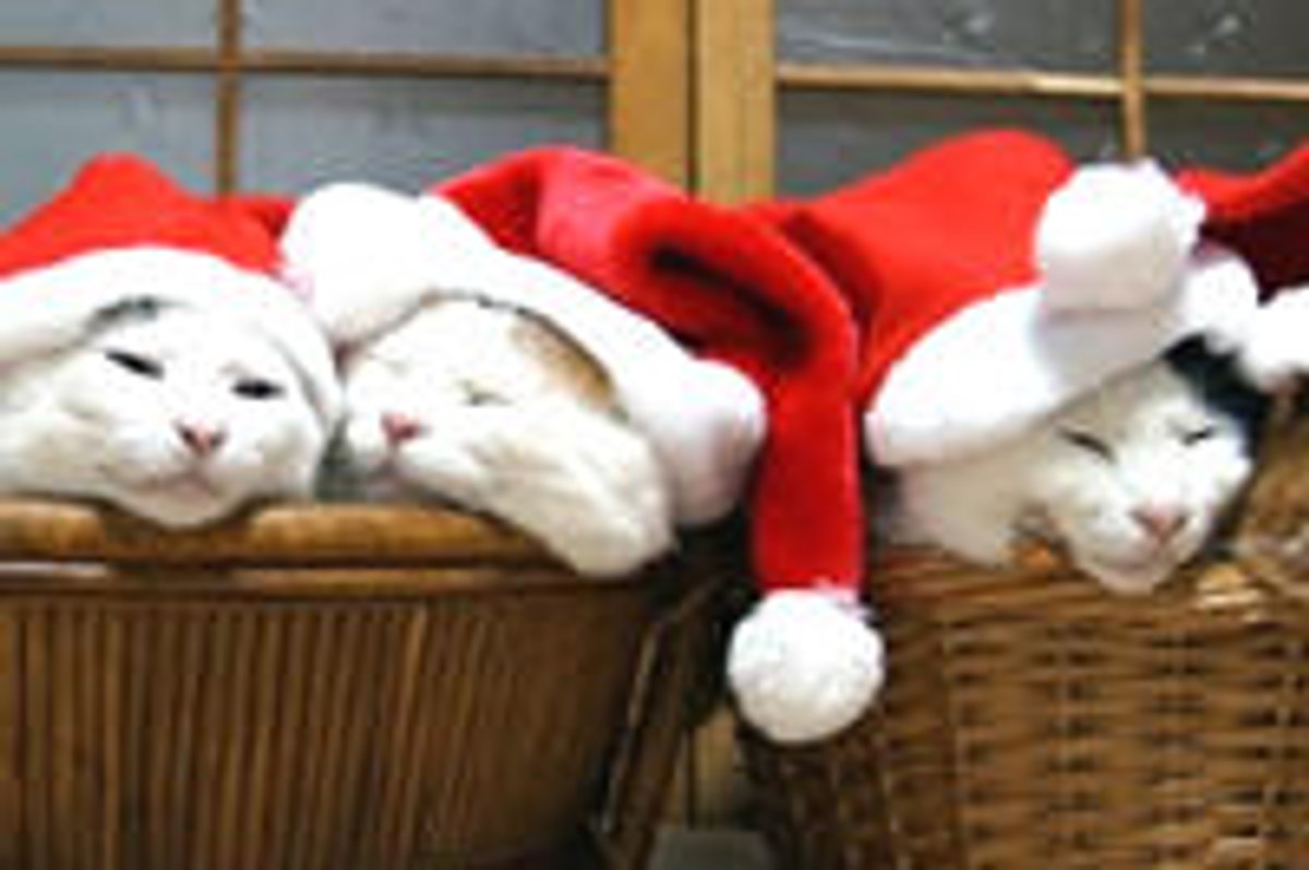 Santa Cat and His Elves