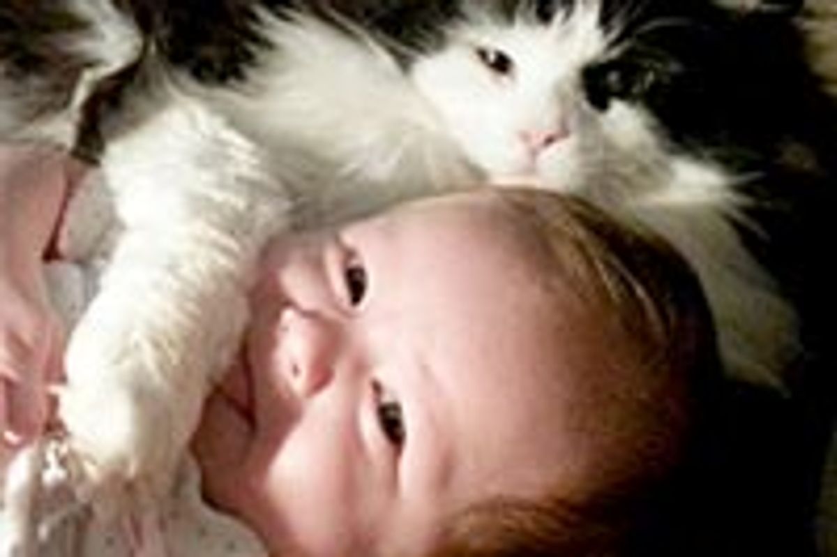 Best Friends in the Making