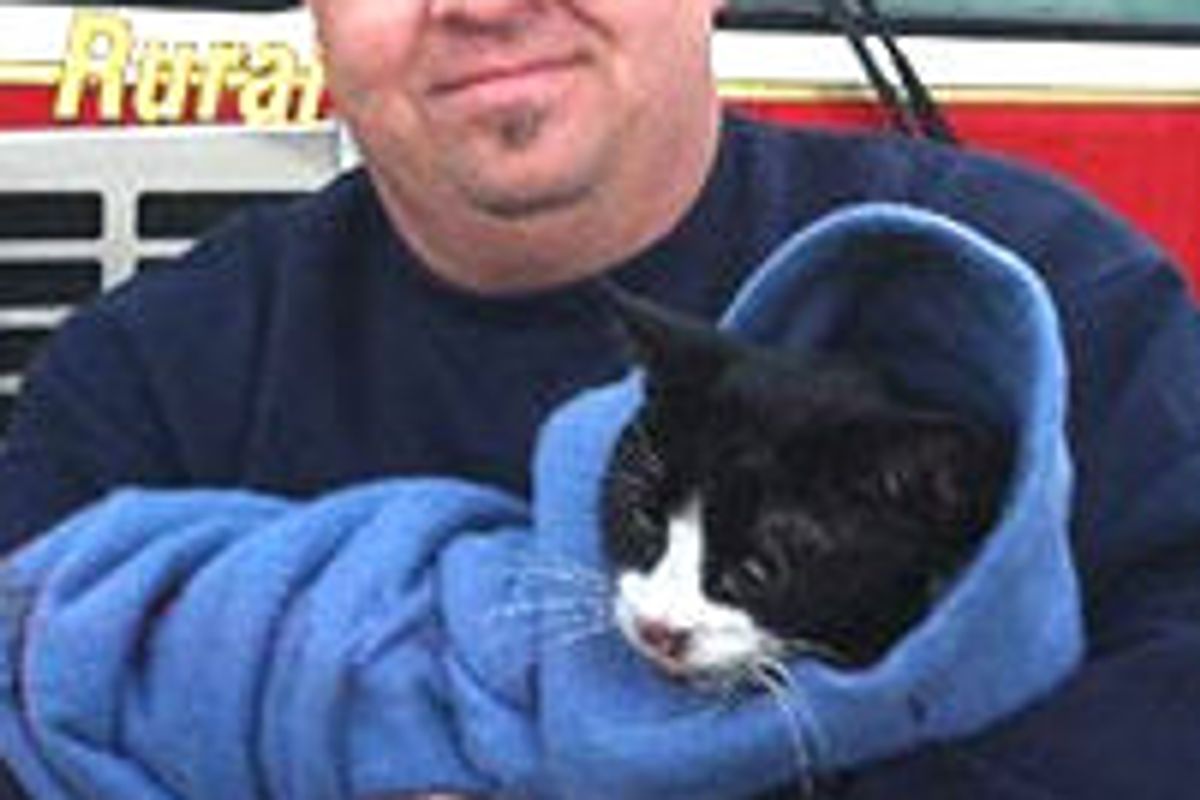 Paramedic Revives Cat Rescued from Fire