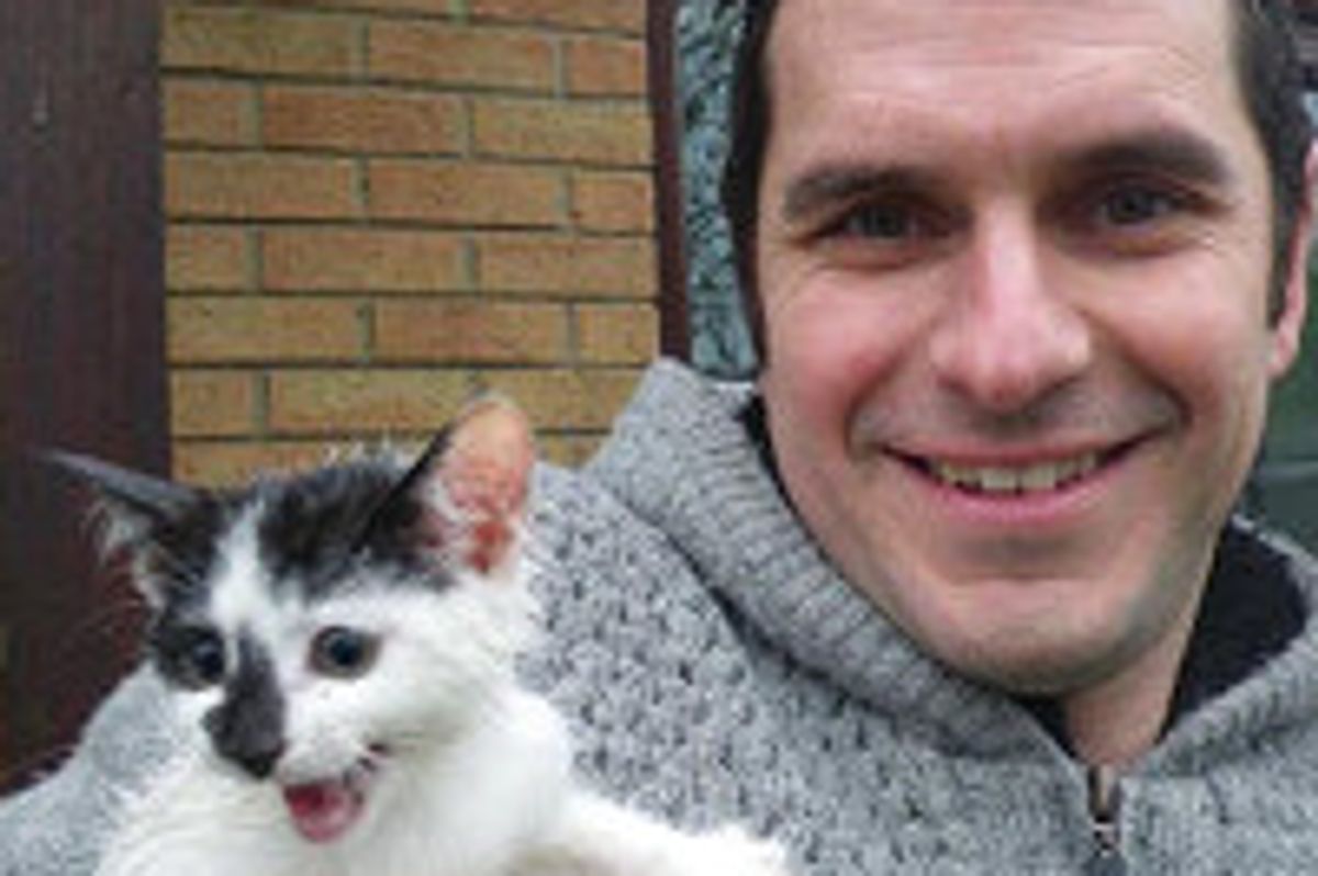 Window Cleaner Climbs to Roof to Rescue Kitten