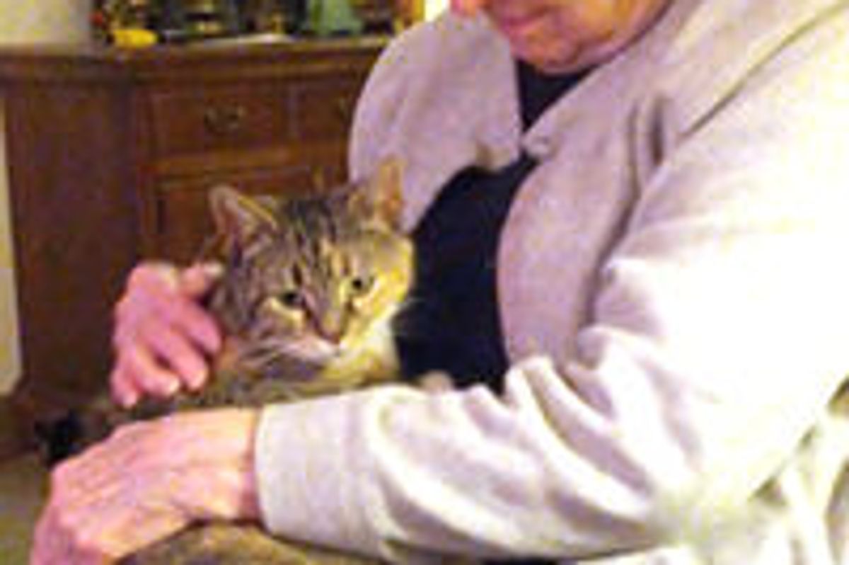 Starving, Pregnant Stray Gets a Second Chance