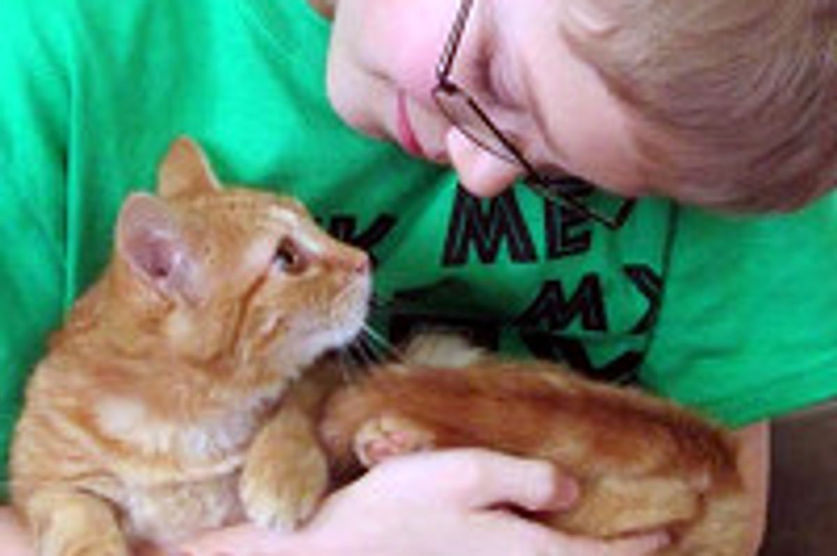 Patches the Cat Finds His Human