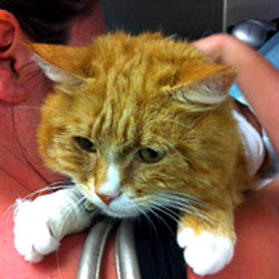 Story of Chester: Journey to A Full Recovery