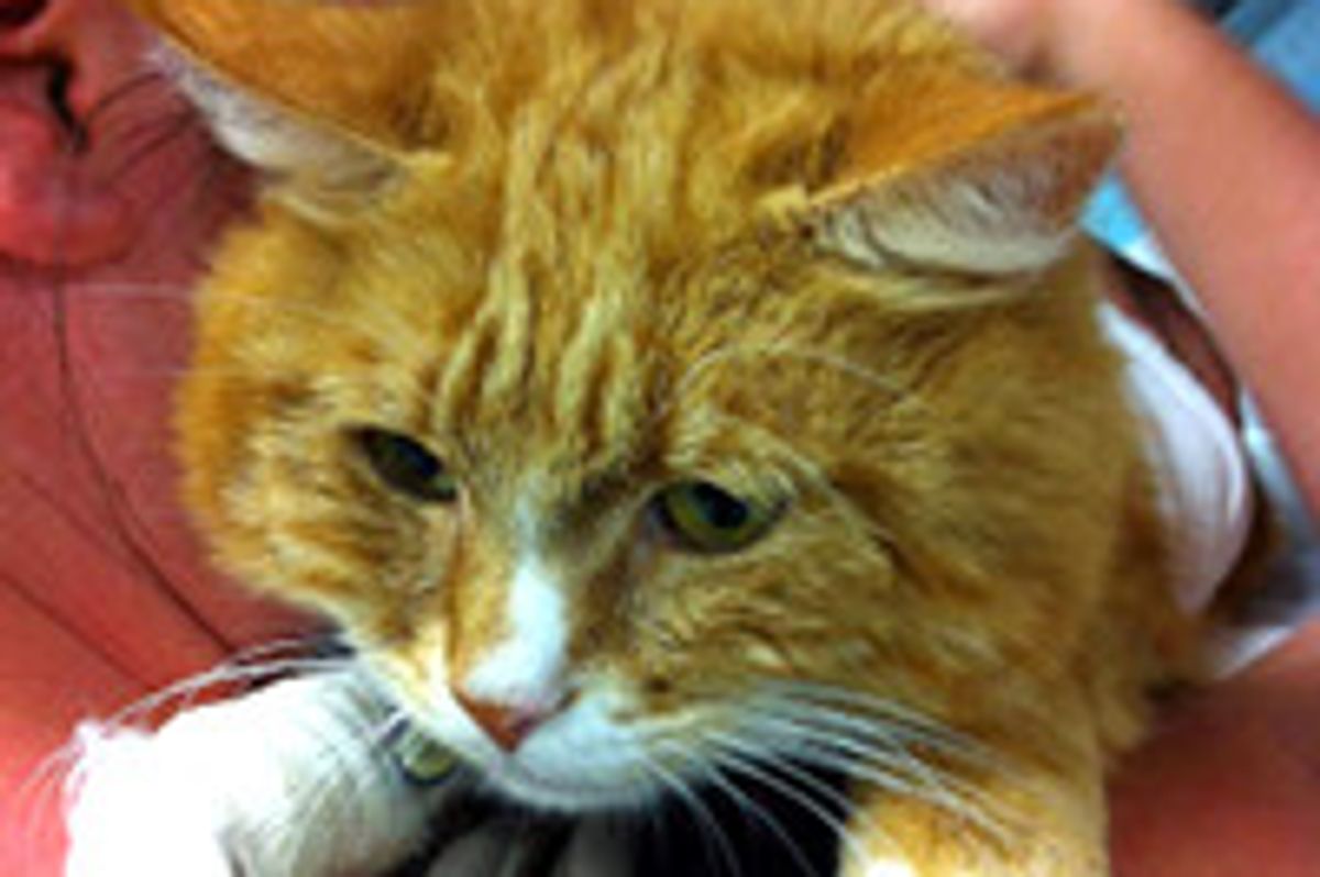 Story of Chester: Journey to A Full Recovery