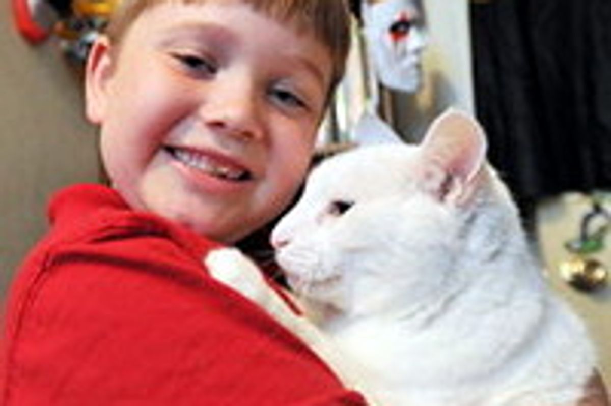 Foster Cat Saves Family's Home from Fire