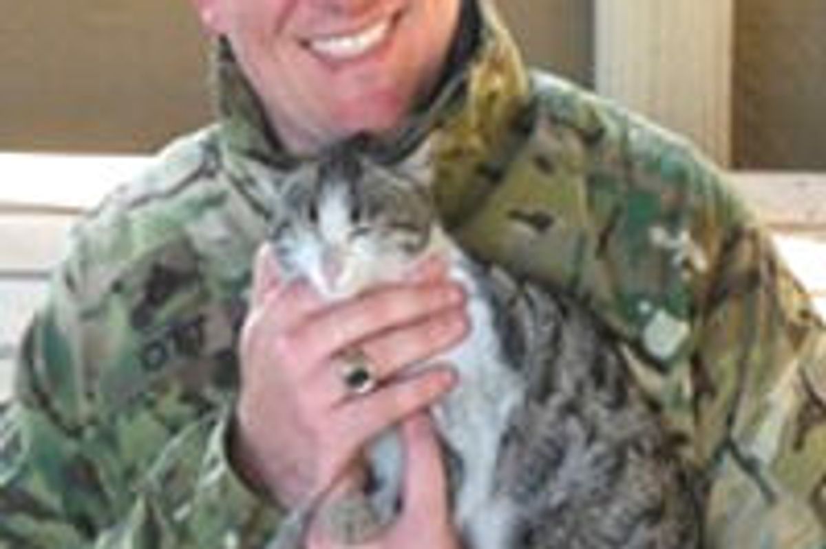 Soldier Brings Rescue Afghan Stray Cat Home