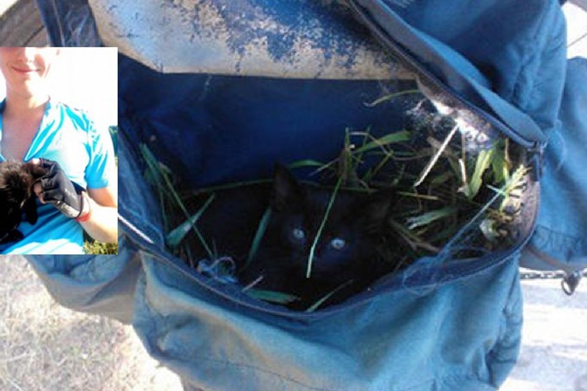 Man Saves Kitten & Carries Him on 30 Mile Journey into His Home