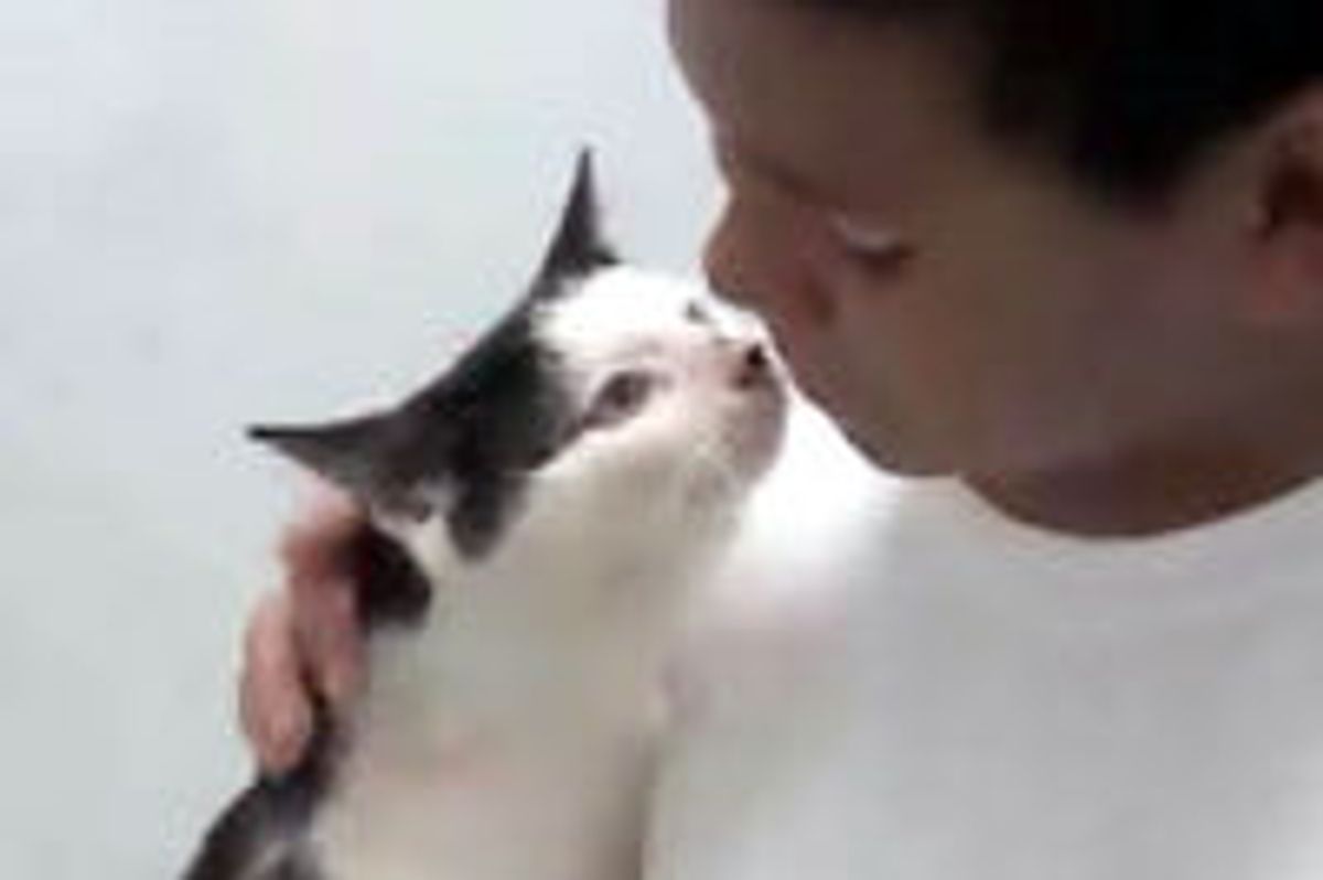 10 Year Old Boy Courageously Saves Cat From Abuse