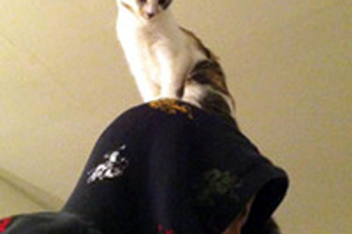 Lemon's Favorite Spot