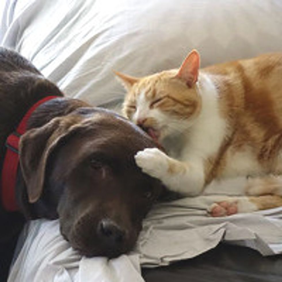 They Do This Everyday!