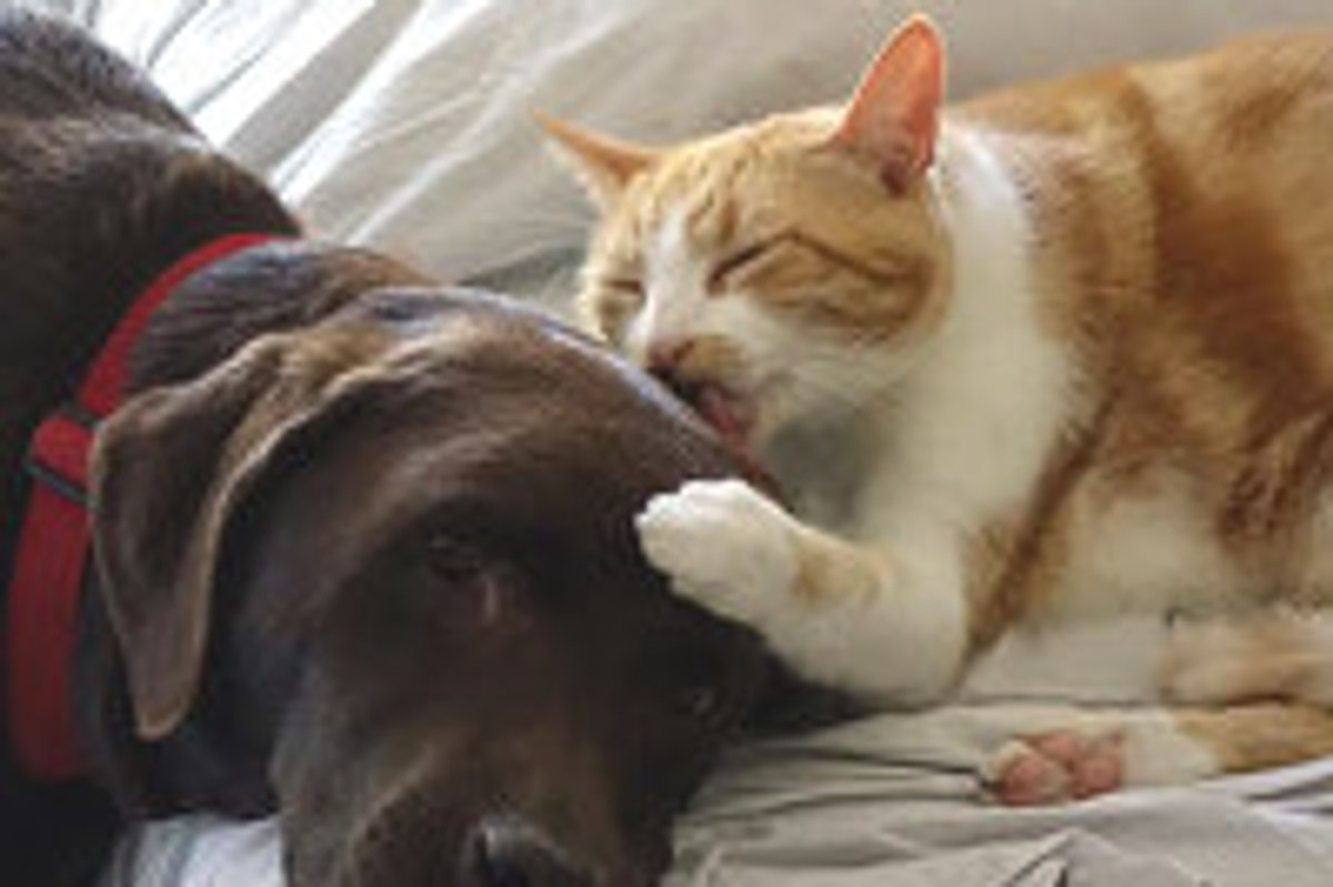They Do This Everyday!