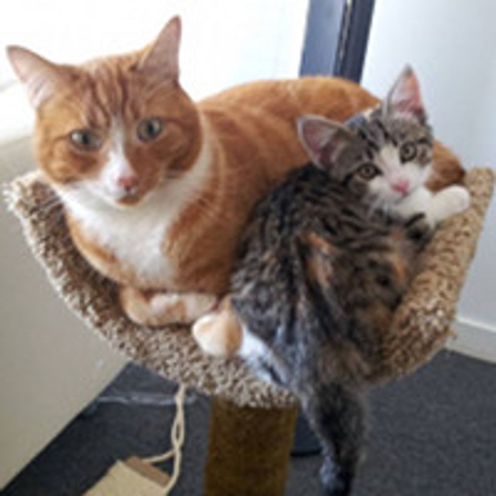Beginning Of A Beautiful Friendship