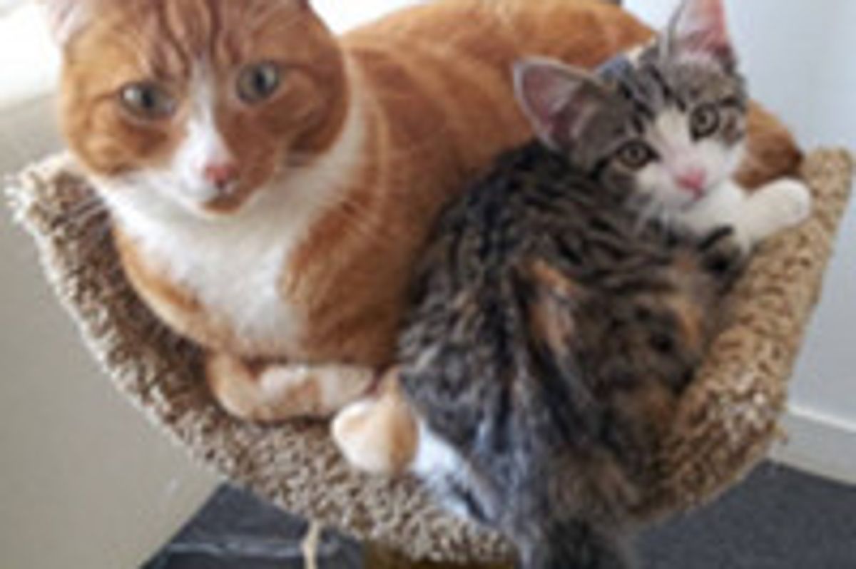 Beginning Of A Beautiful Friendship