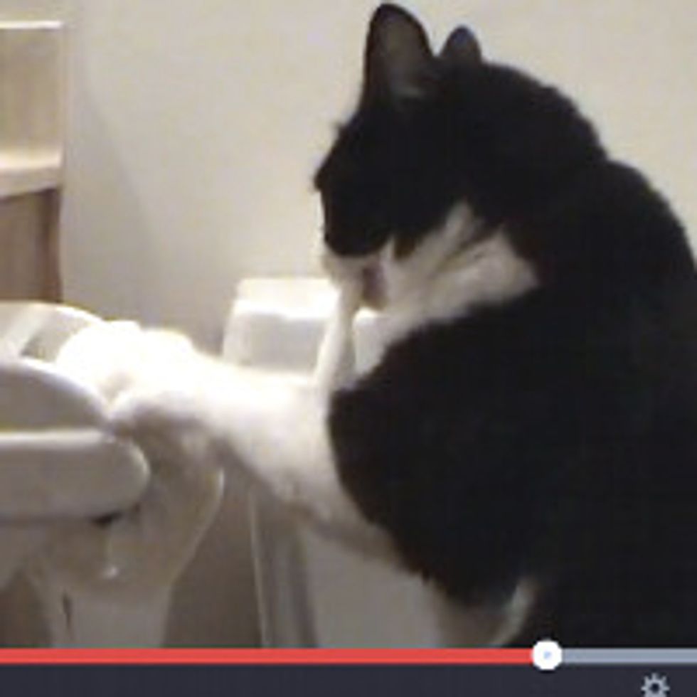 Boots vs Toilet Paper
