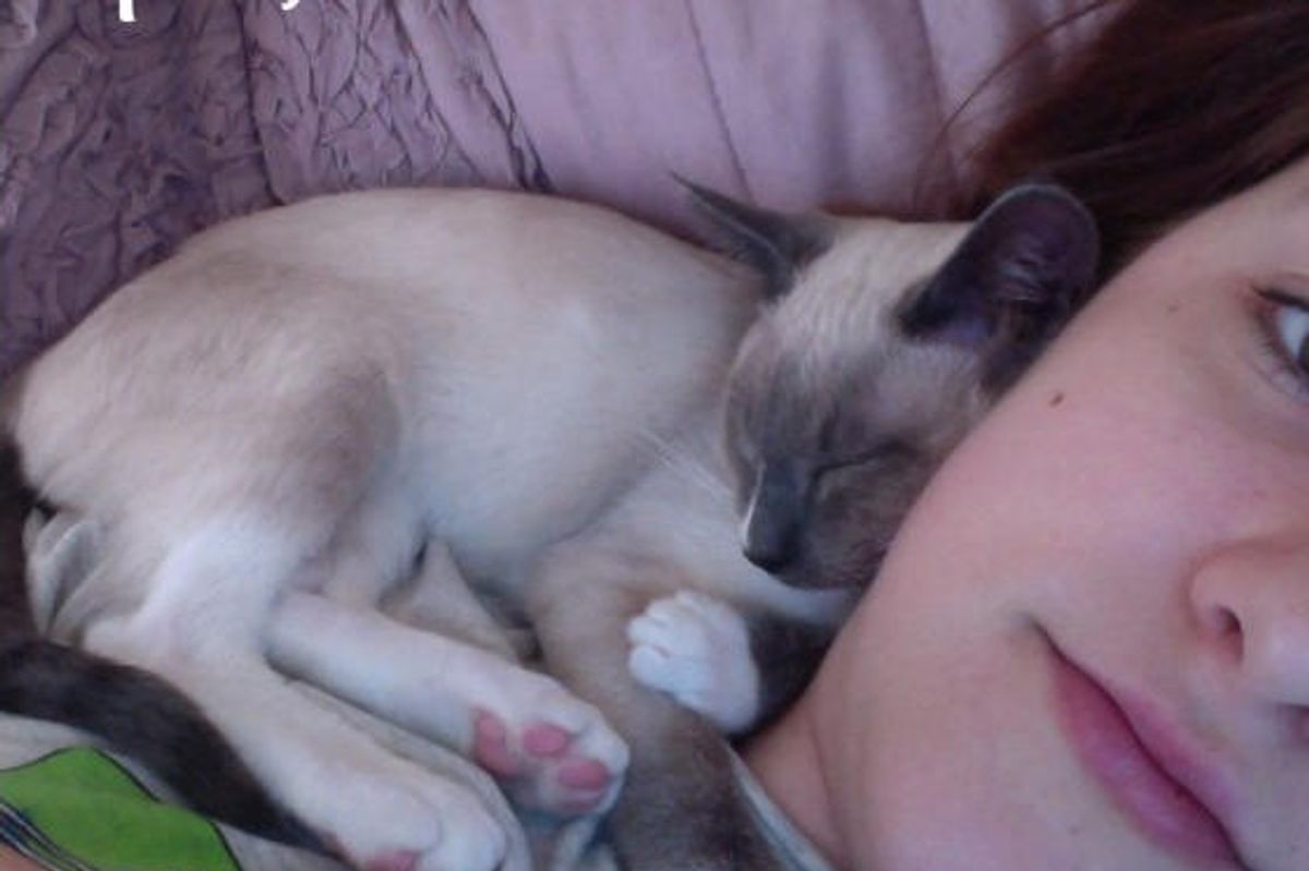 What A Difference A Year Makes