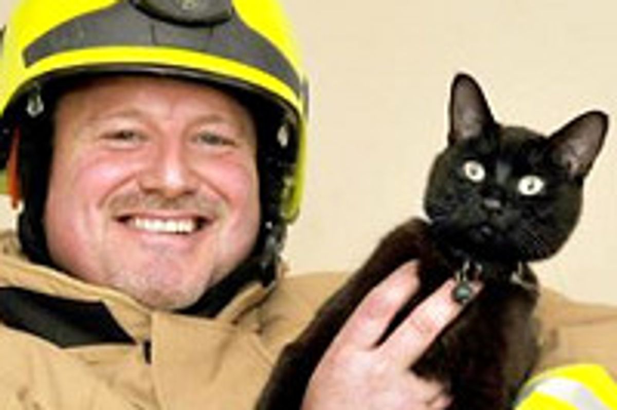 Firefighter Finds His Beloved Missing Cat At Scene Of Fire