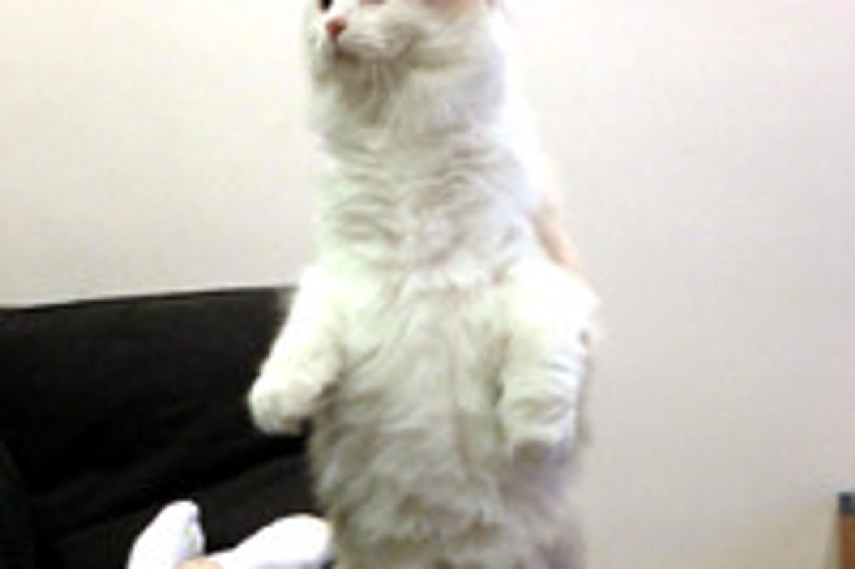 What A Second Chance Can Do...