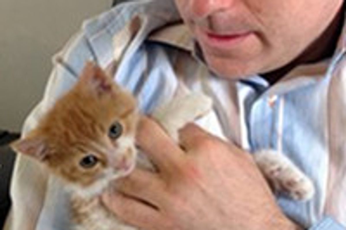 Borden Technician Rescues 3-Legged Kitten