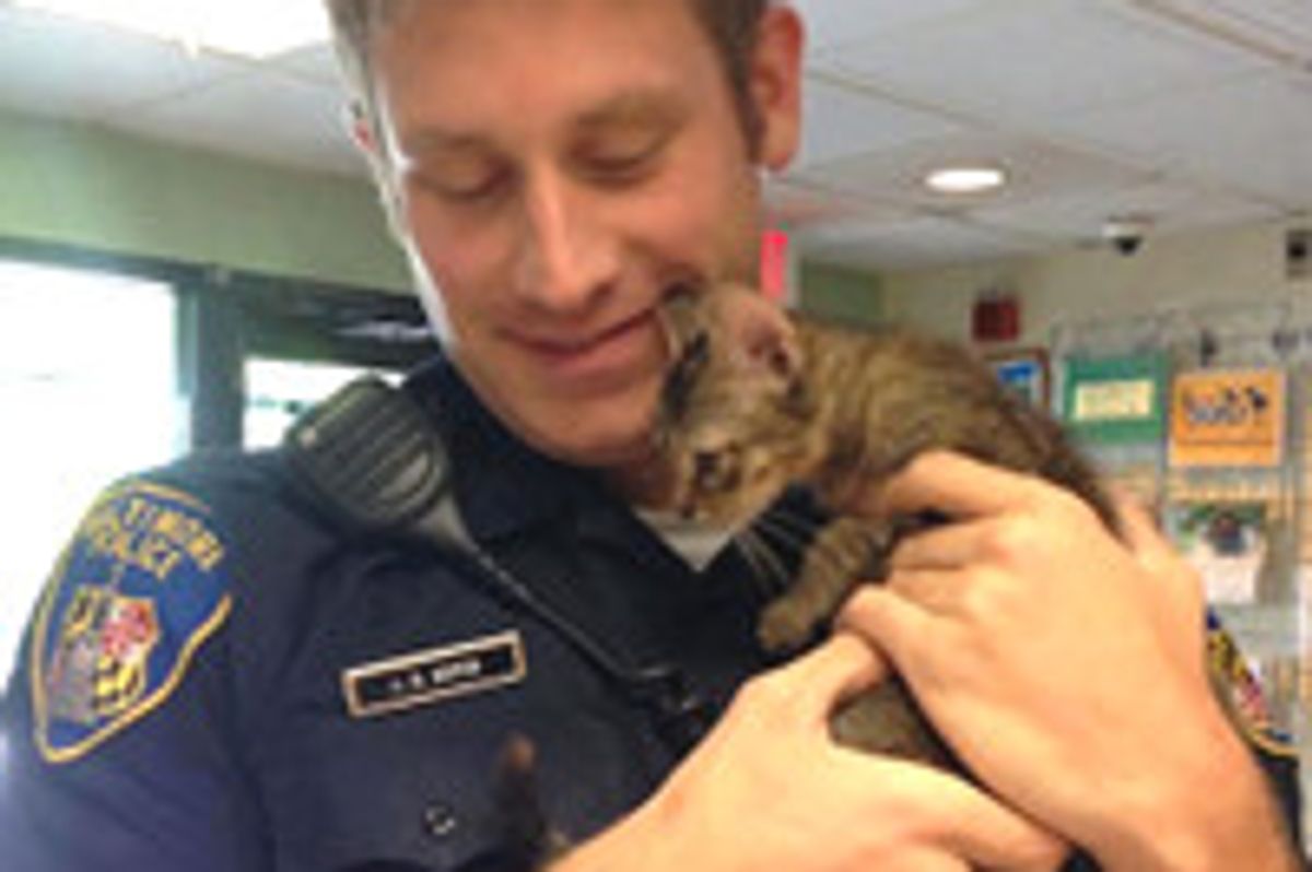Stray Kitten Finds Police Officer To Go Home To