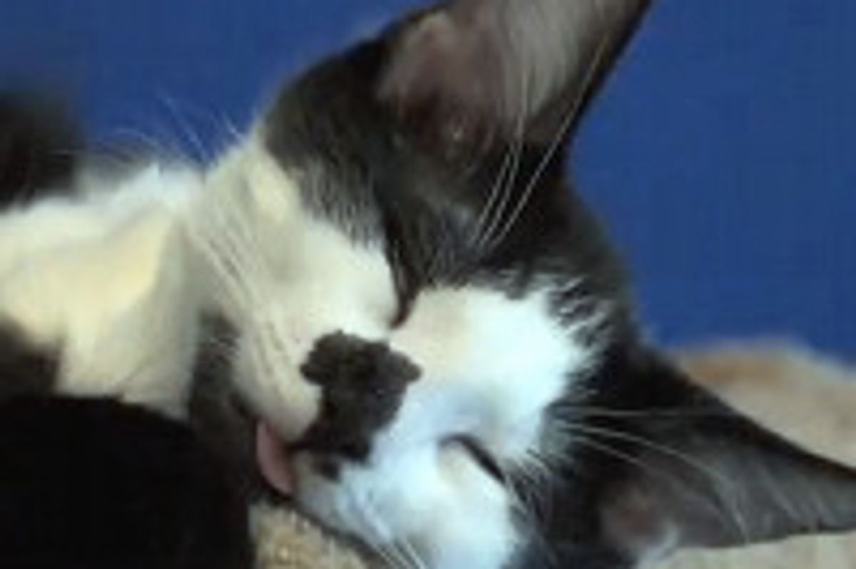 Shorty And Kodi Funniest Moments