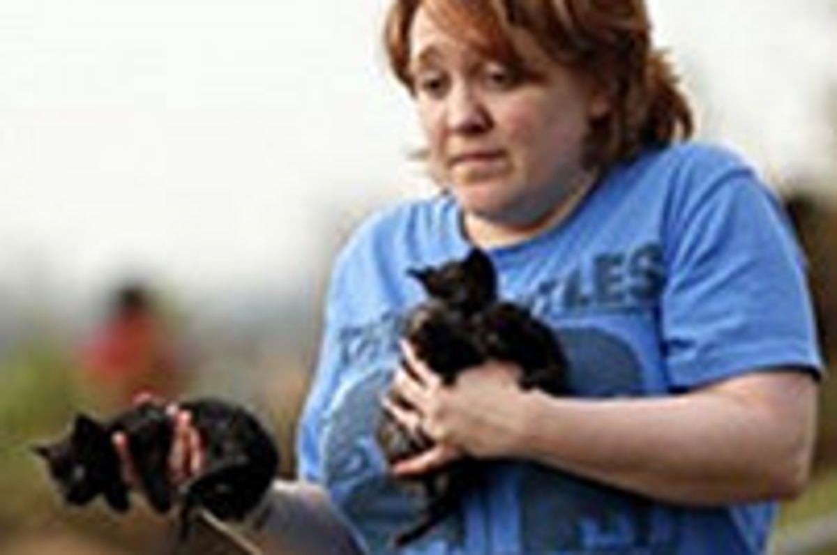 Oklahoma Tornado Pet Rescue Continues & How You Can Help