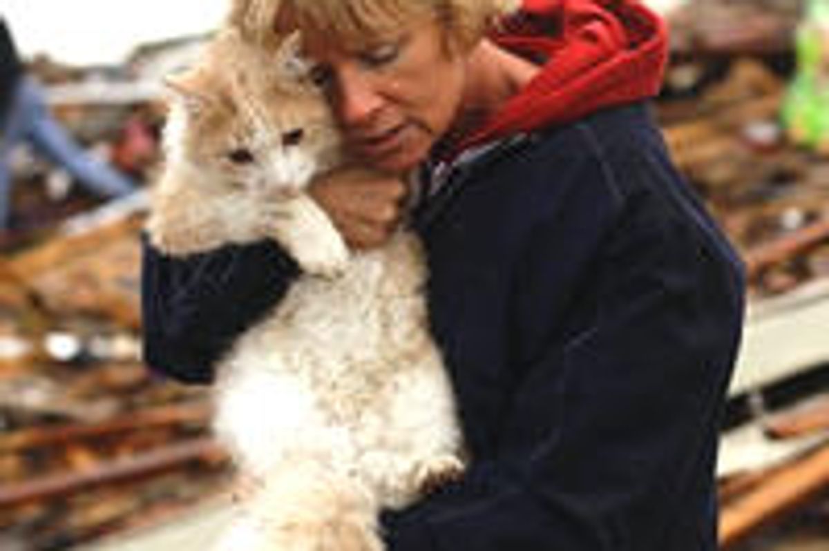 Emotional Reunion With Beloved Cat Found In Moore Oklahoma Tornado Rubble