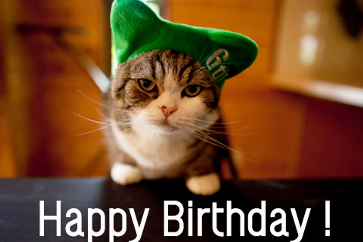 Maru Turns 6!