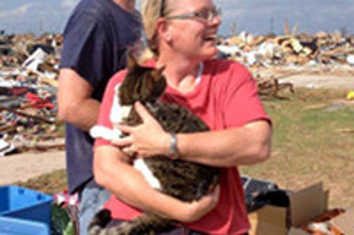 Boy Scout Uncovers Cat Survived In Rubble Of Home Hit By Okla. Tornado