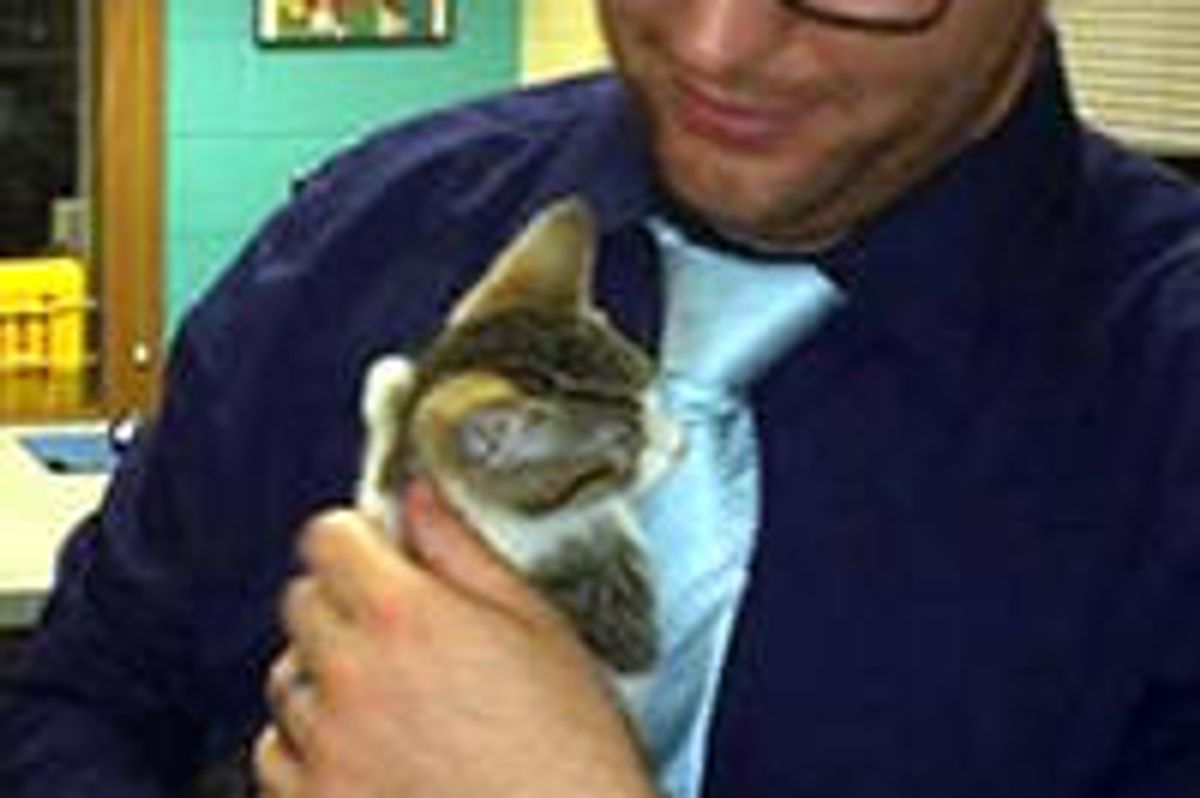 Kitten Stolen From Shelter Has Been Found Thanks To Police