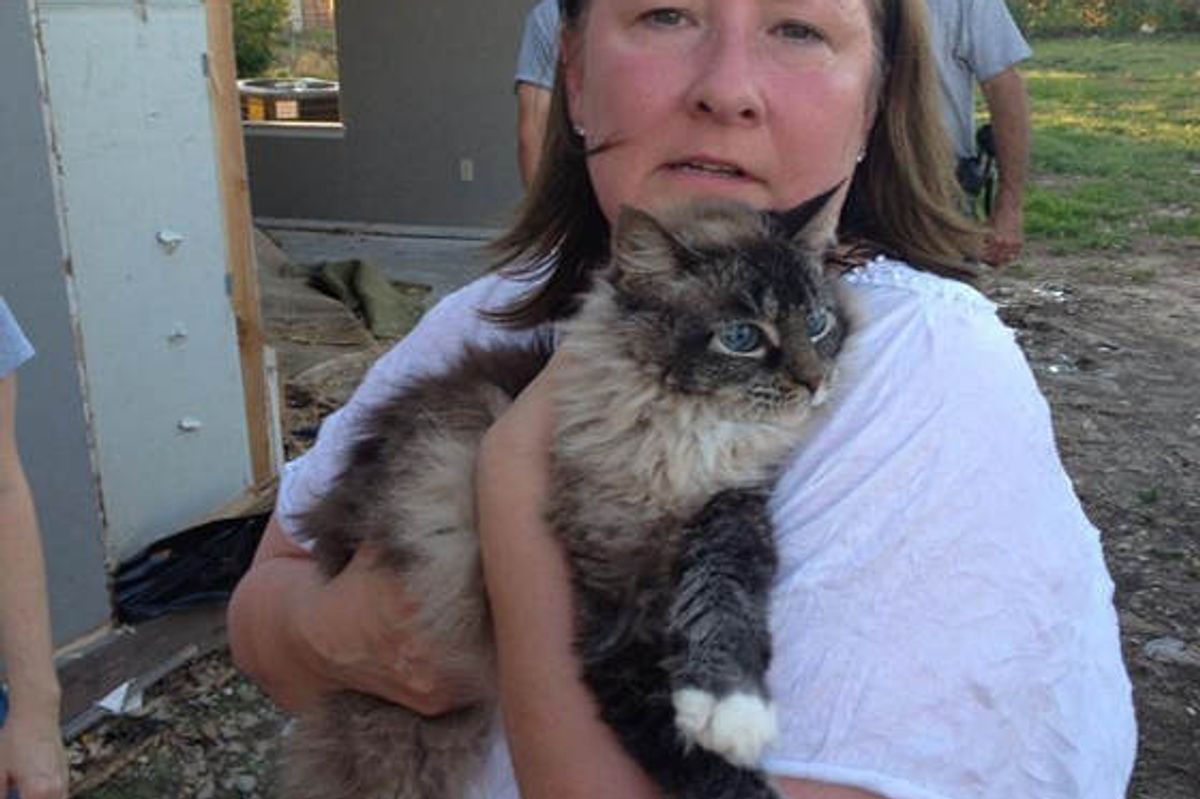 Cat Found Alive Inside Wall Of Destroyed Home 3 Weeks After Moore Tornado
