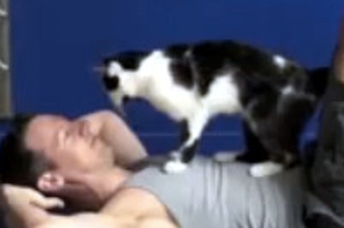 How To Exercise Your Human