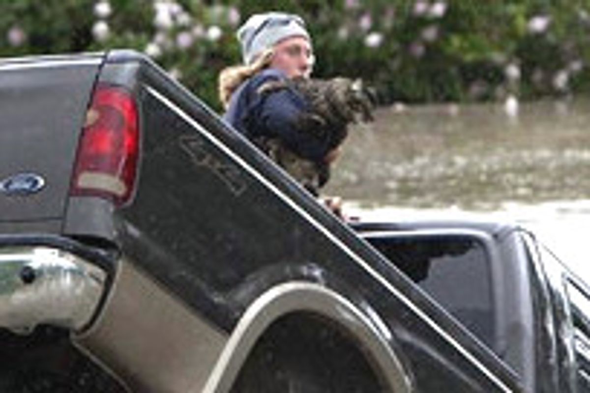 Man Keeps His Cat With Him While Swimming To Safety in Flood Waters