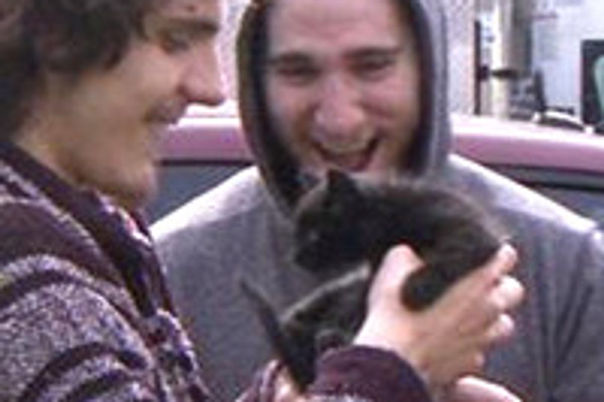 Teamwork Save Tiny Kitten Trapped In Pipe