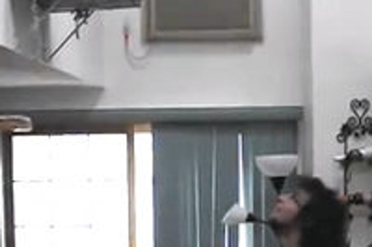 Cat Juggles With Human