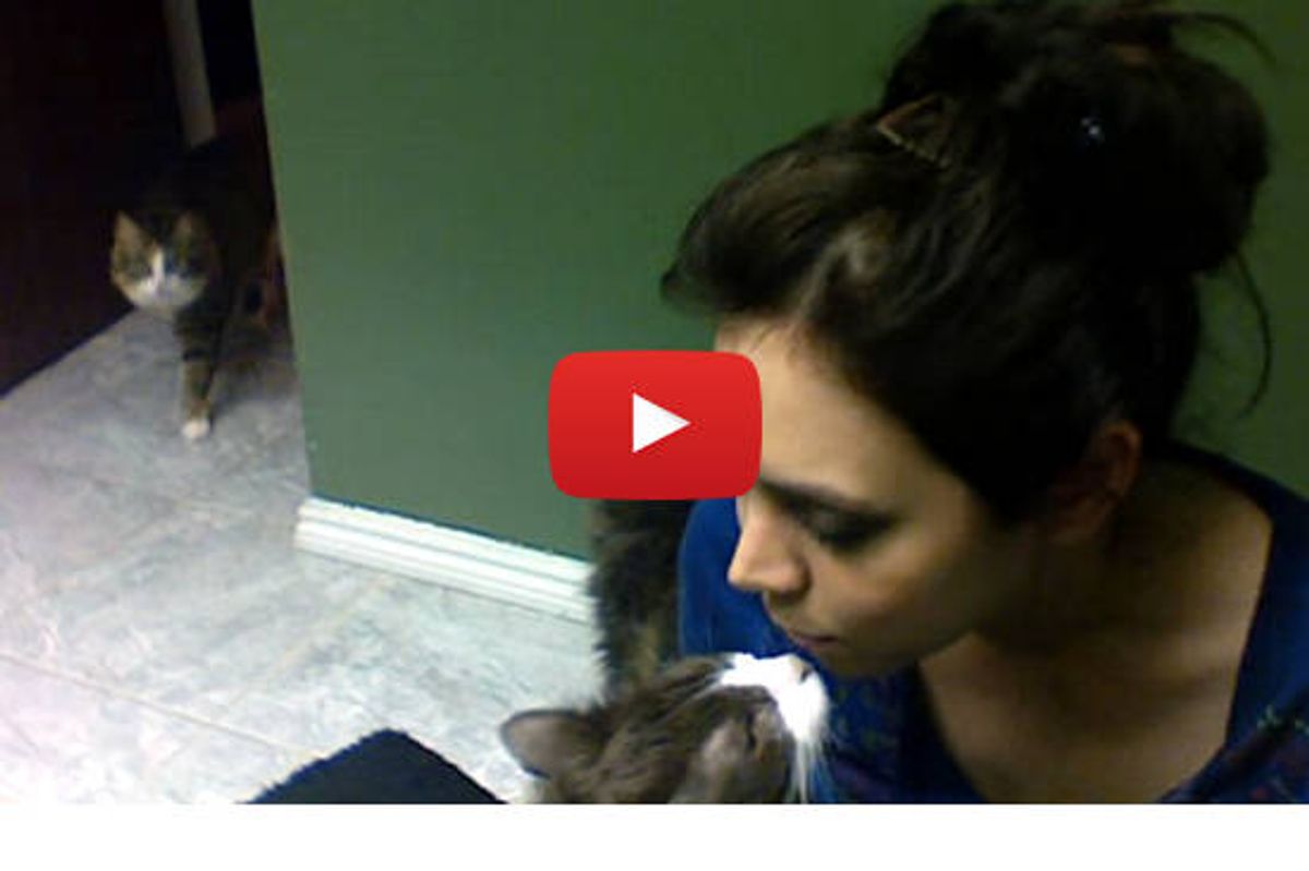 Master Of The Cat Language