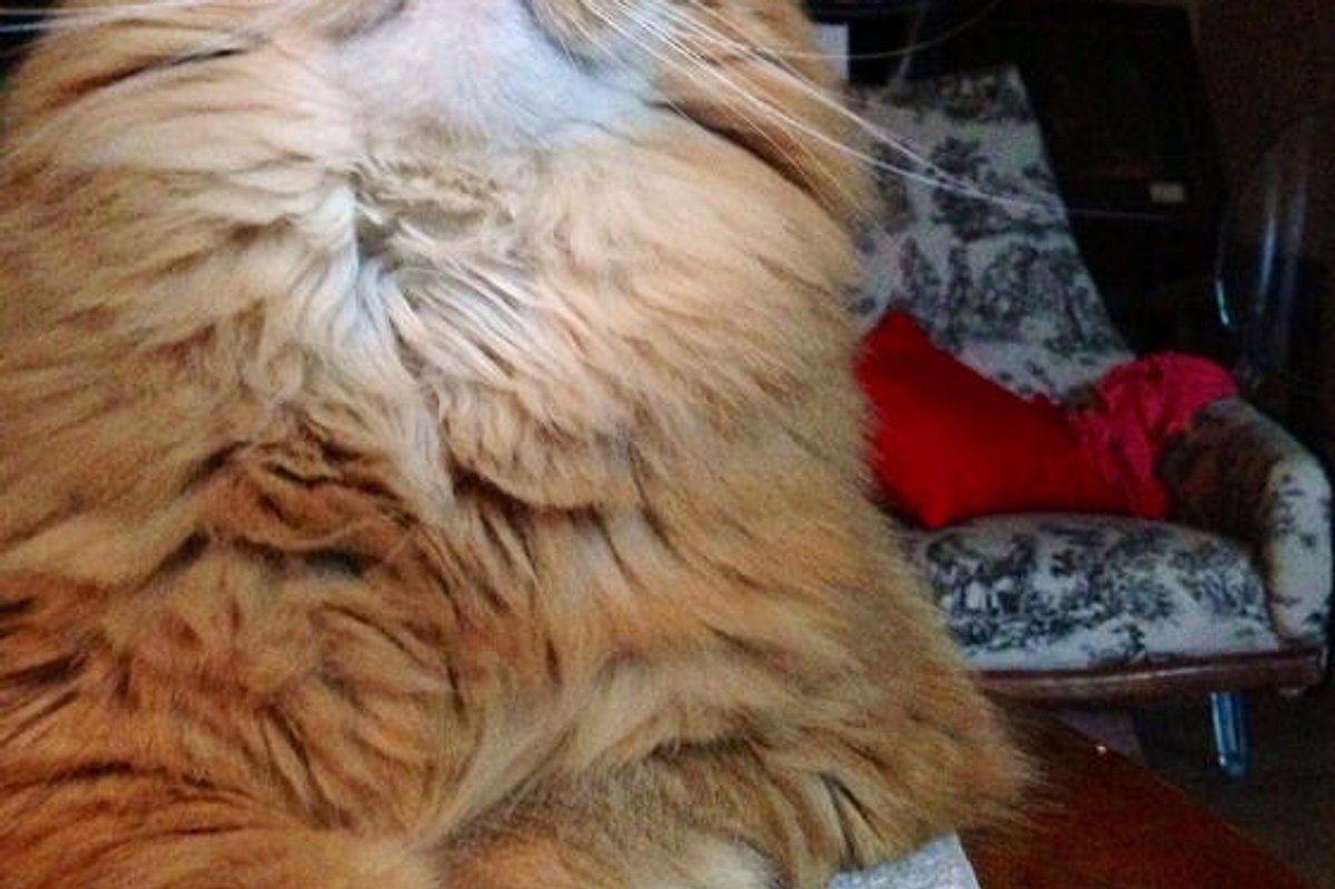 "My Laptop Snaps A Photo Of The Person That Wakes Up My Computer"