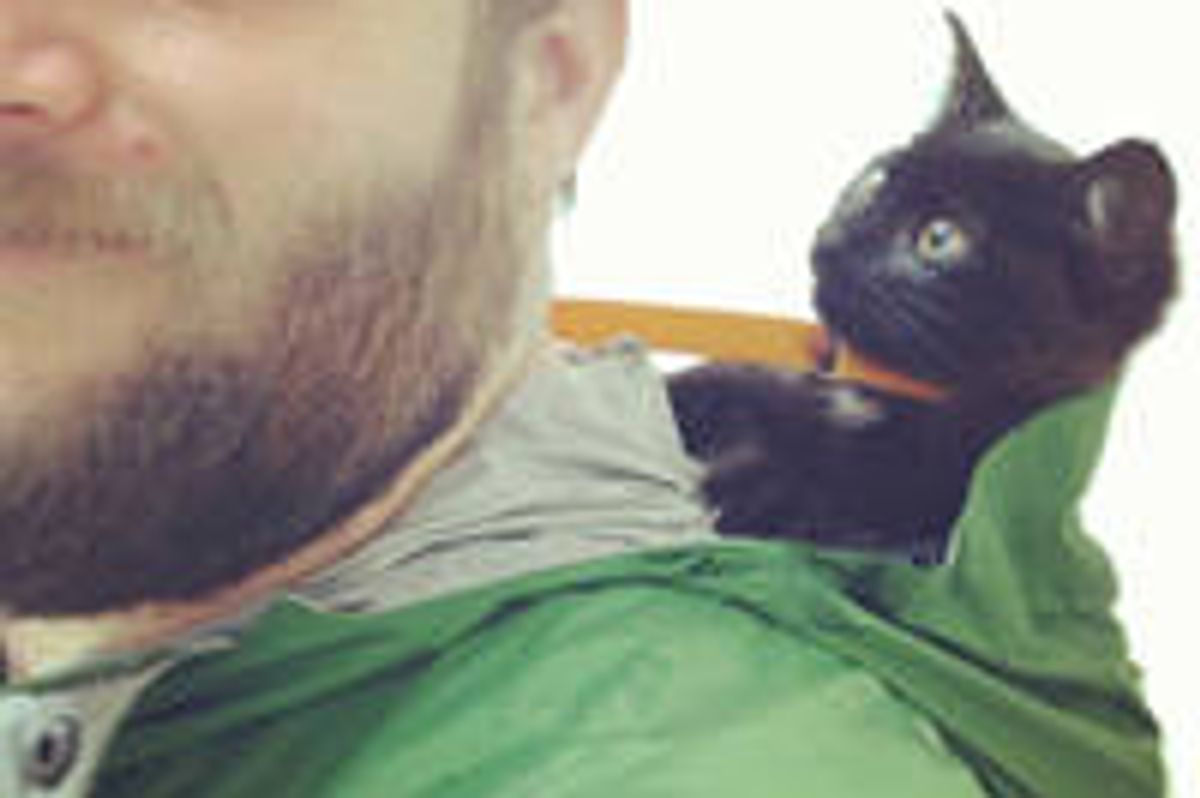 Man Saves Kitten From The Woods And Gives Him A Home