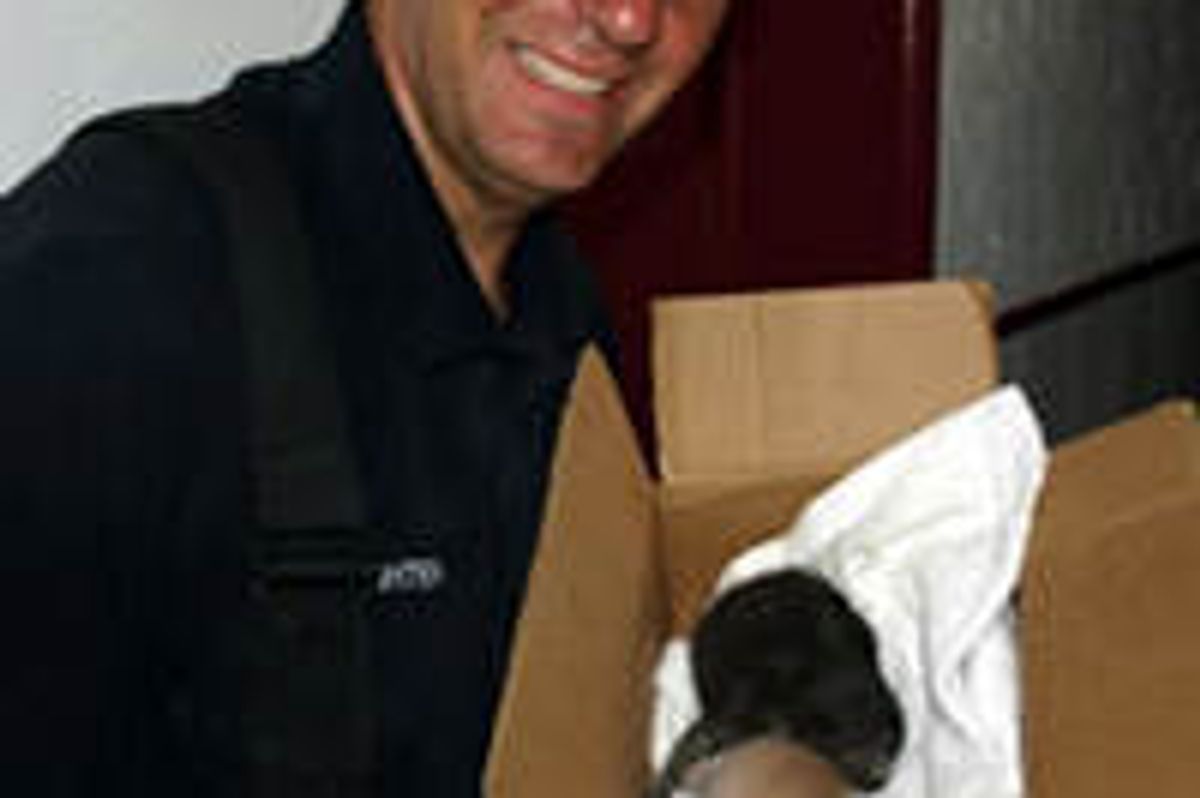 Kittens Born During House Fire Saved By Firefighters