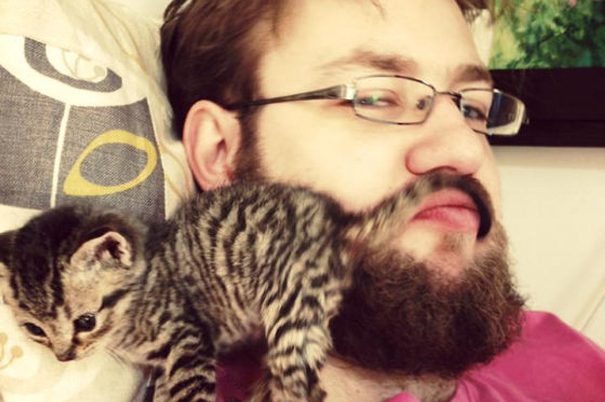 Kitty Gives Human Dad Accidental Kittystache